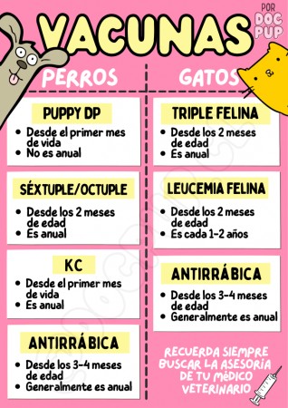Imagen principal del servicio