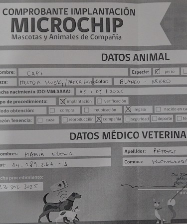 Imagen principal del servicio