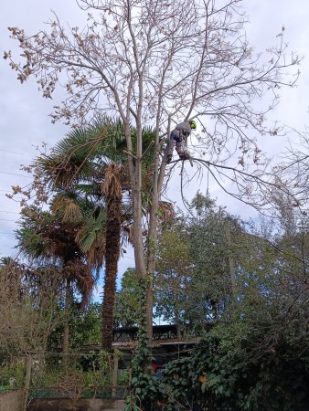 Imagen 2