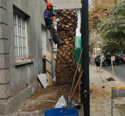 Imagen 6 de servicio