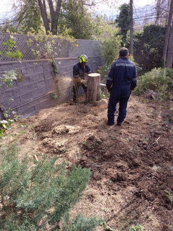 Imagen 10 de servicio