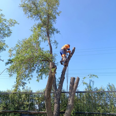 Imagen 18 de servicio