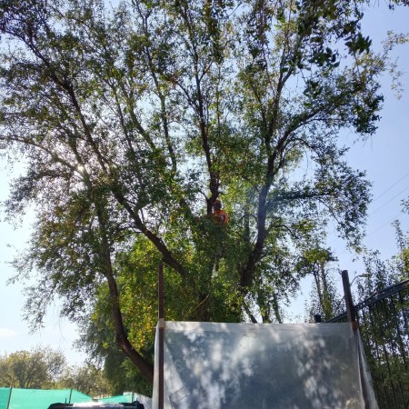 Imagen 17 de servicio