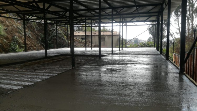 Imagen 2