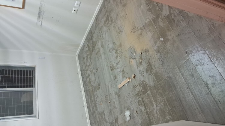Imagen 8 de servicio