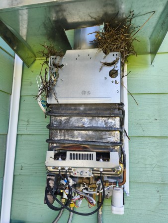 Imagen principal del servicio