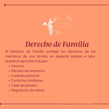 Imagen 5 de servicio