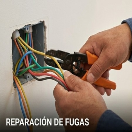 Imagen principal del servicio