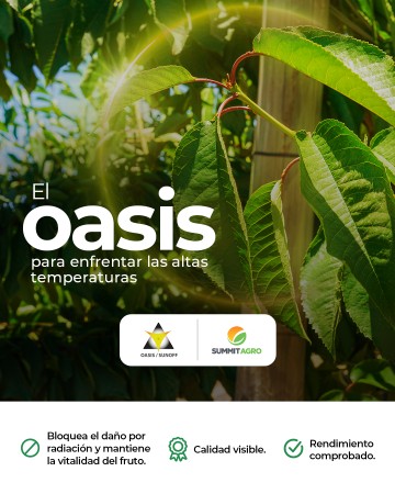 Imagen principal del servicio