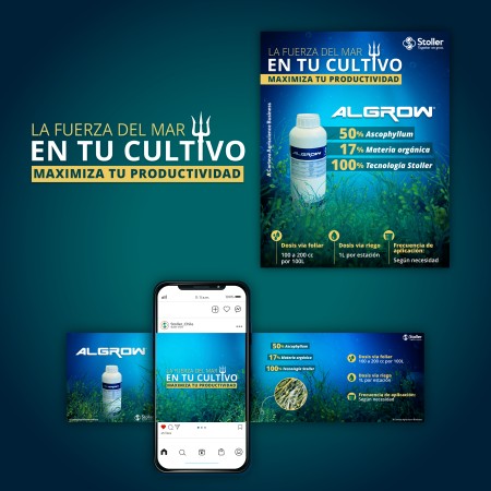 Imagen principal del servicio