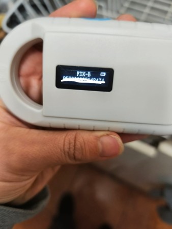 Imagen principal del servicio