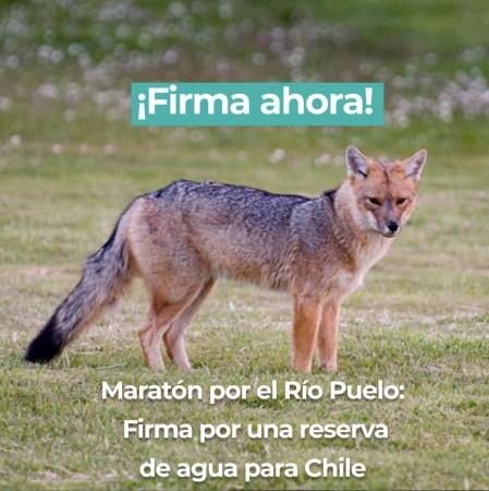 Imagen principal del servicio