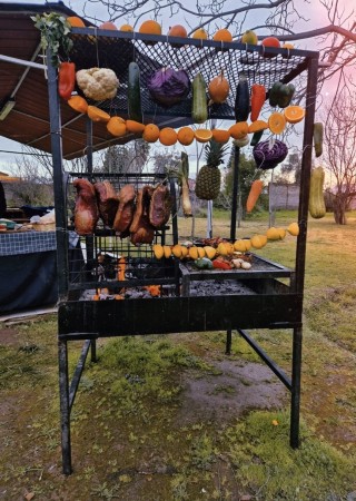 Imagen 14 de servicio