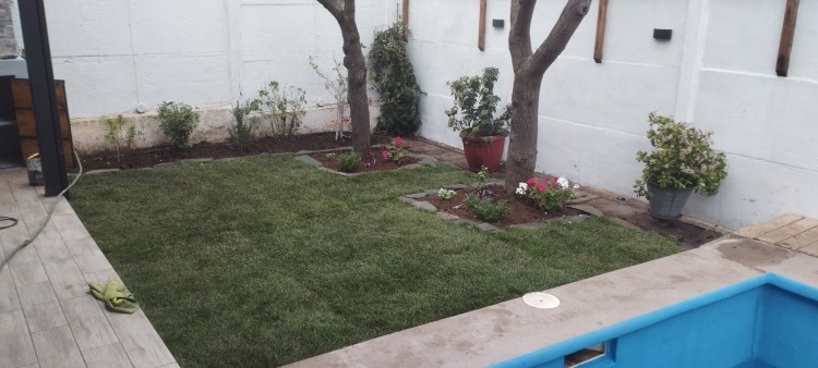 Imagen 20 de servicio