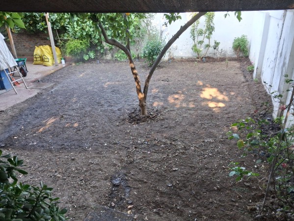 Imagen 35 de servicio