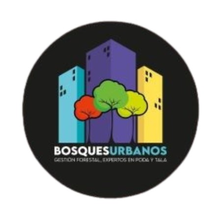 Imagen principal del servicio
