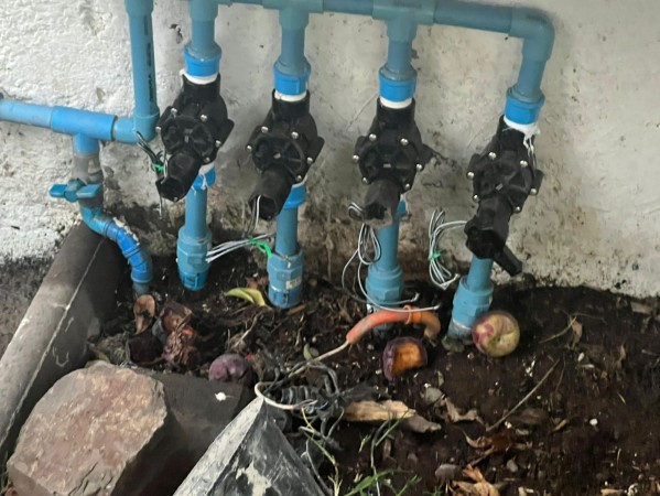 Imagen principal del servicio