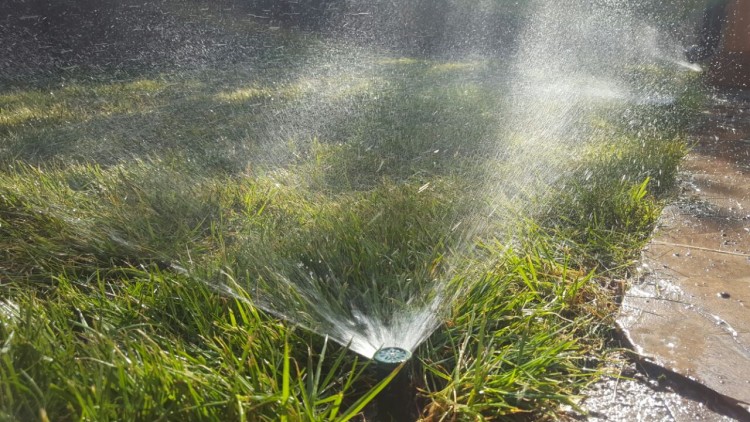 Imagen principal del servicio