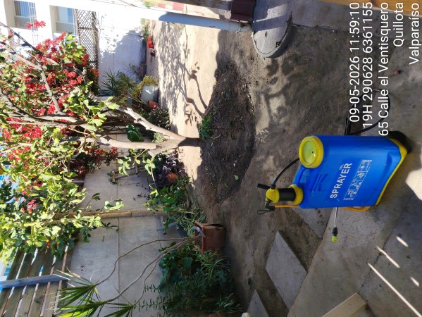 Imagen 2