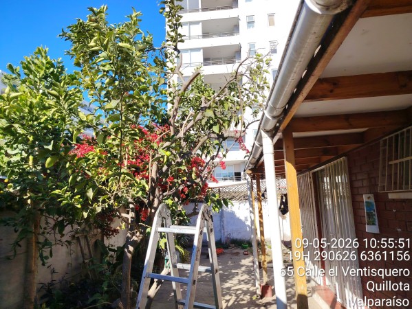 Imagen 4 de servicio