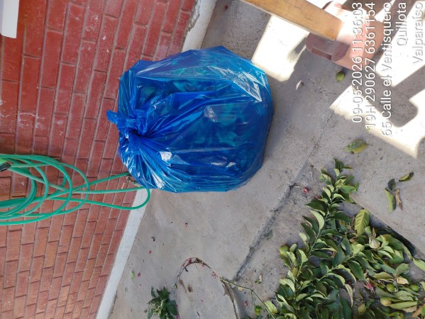 Imagen 3 de servicio