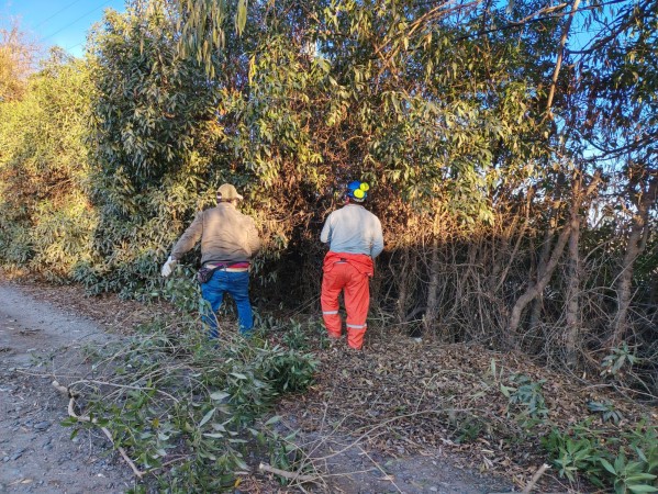 Imagen 6 de servicio