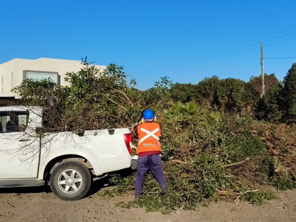Imagen 7 de servicio