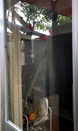 Imagen principal del servicio