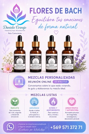 Imagen 5 de servicio
