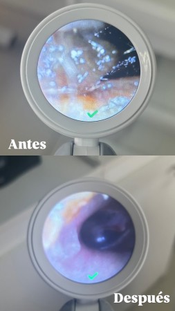 Imagen principal del servicio