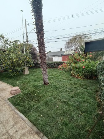 Imagen 5 de servicio