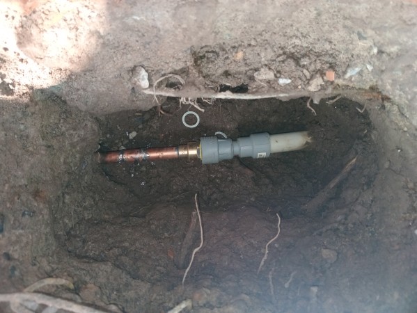 Imagen principal del servicio