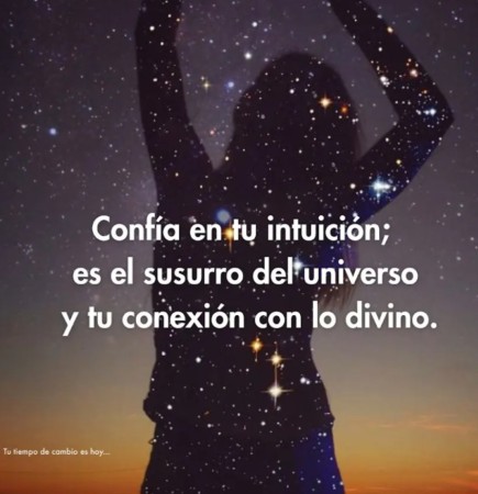 Imagen 6 de servicio