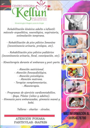 Imagen 2