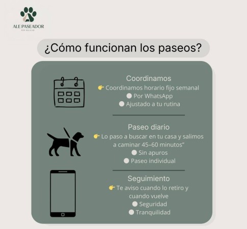 Imagen principal del servicio