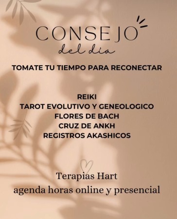 Imagen 4 de servicio