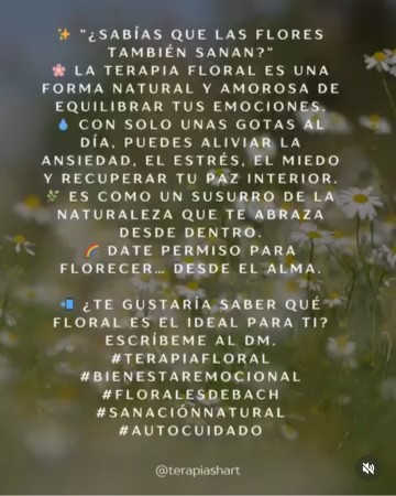 Imagen 7 de servicio