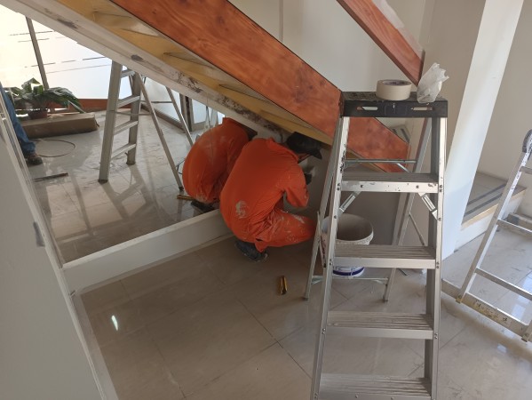 Imagen 6 de servicio