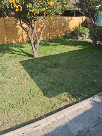 Imagen 49 de servicio