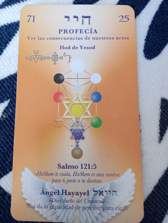 Imagen 5 de servicio