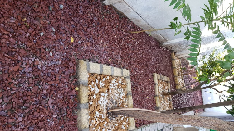 Imagen 16 de servicio