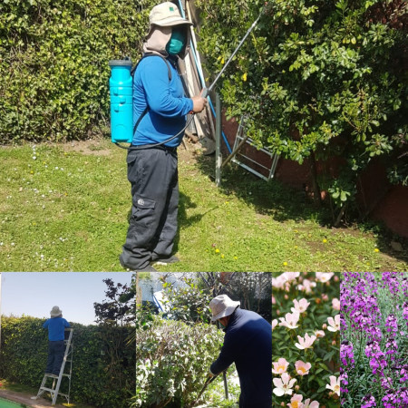 Imagen 22 de servicio