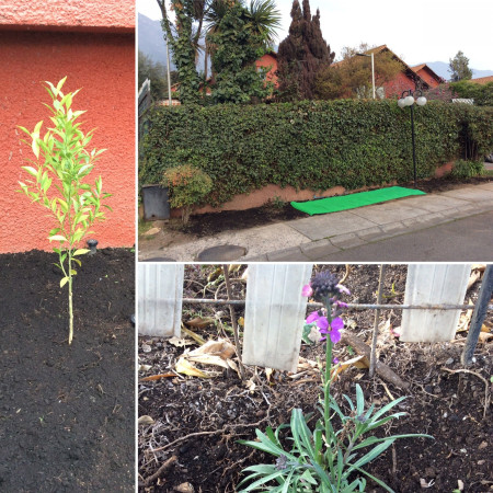 Imagen 26 de servicio