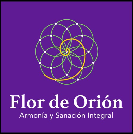 Imagen 6 de servicio