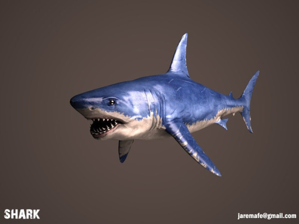 Imagen 3 de servicio