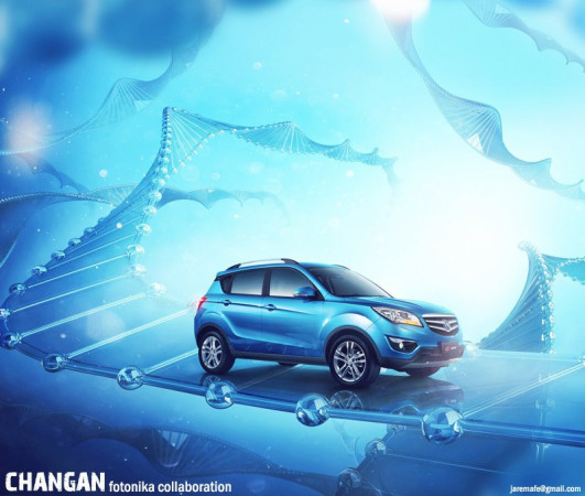 Imagen 6 de servicio