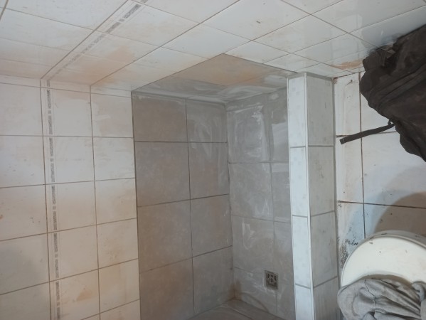 Imagen 106 de servicio