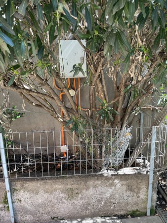 Imagen principal del servicio