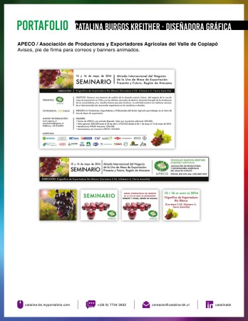 Imagen 35 de servicio