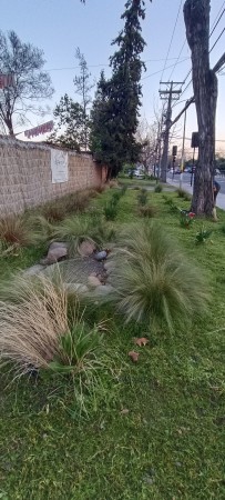 Imagen 5 de servicio